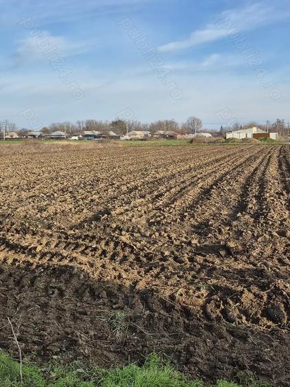 Teren de 3000 mp, în Chiscani