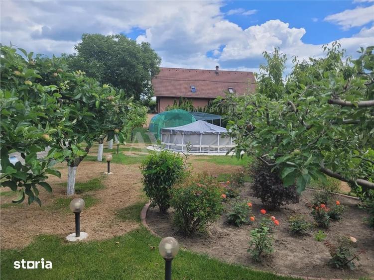 Teren de 530 mp, în Mărgineni