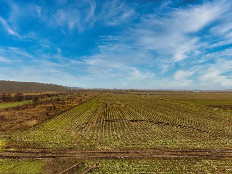 Teren de 5040 mp, în Săbăreni