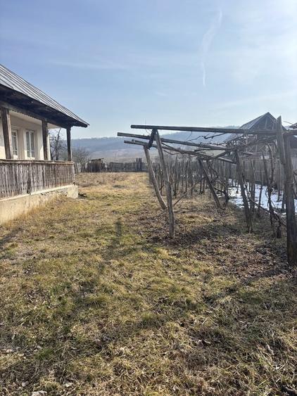 Casă cu 2 camere în Butanu