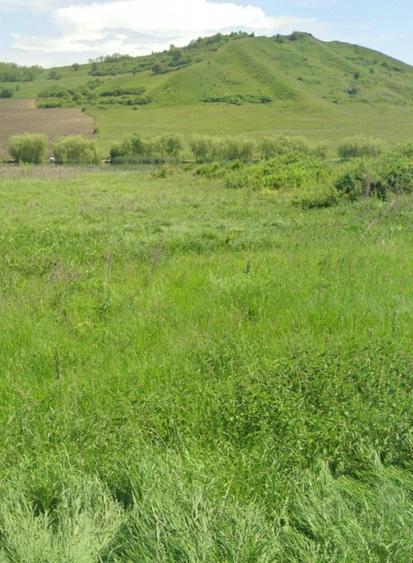 Teren agricol extravilan de 4056 mp, în Periferie