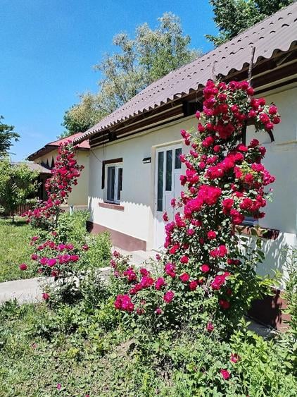 Casă cu Teren 5700 Mp în Gura Foii