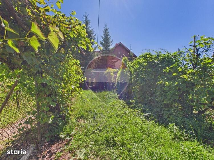 Casa P+1 cu teren, livada si vie Pucioasa| Acces facil Sinaia - 20