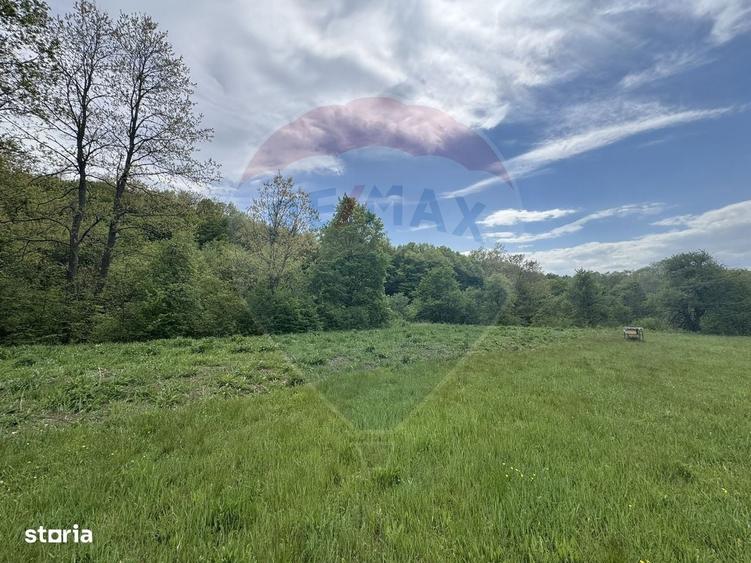 Casă cu 4 camere în Topa Mică