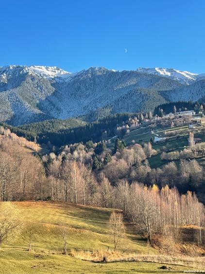 Teren de 10000 mp, în Bran