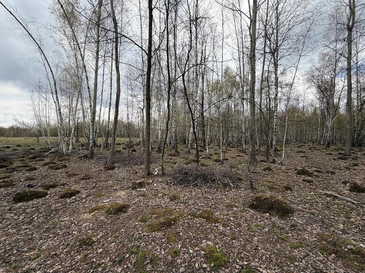 Teren de 15000 mp, în Izvoru