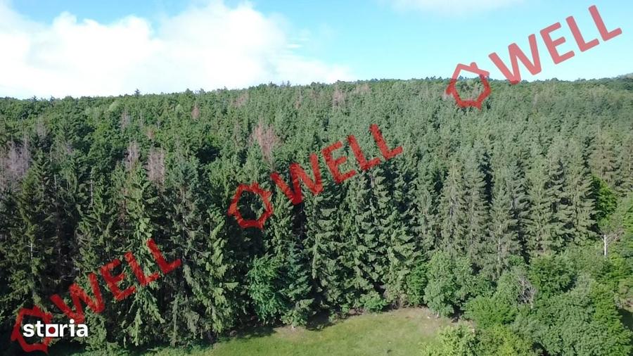 Teren de 98200 mp, în Moacșa