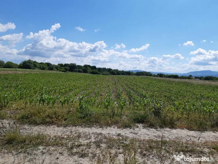 Teren de 20300 mp, în Prejmer