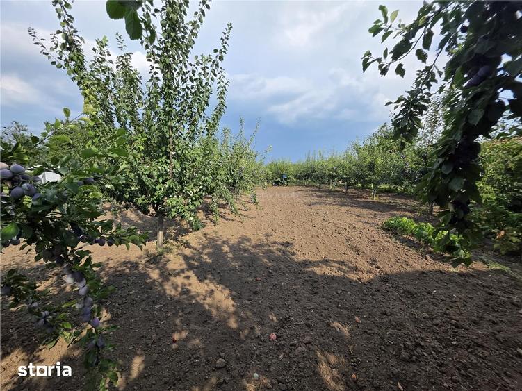 Casă cu 2 camere cu Teren 750 Mp în Cochirleanca