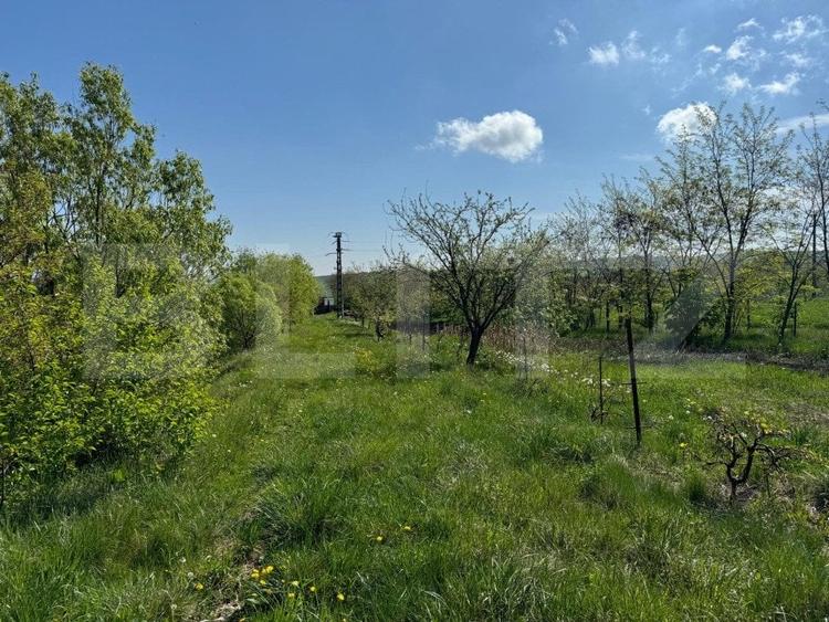 Teren Construcții intravilan de 19000 mp, în Botoșanița Mare