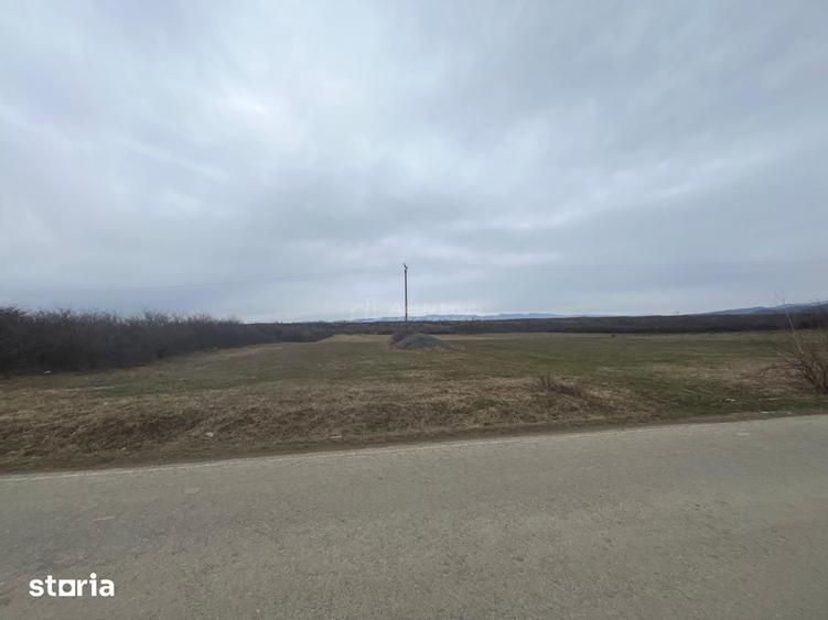 Teren de 16760 mp, în Central