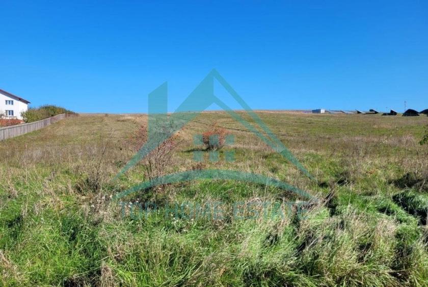 Teren agricol extravilan de 11550 mp, în Mărtinești