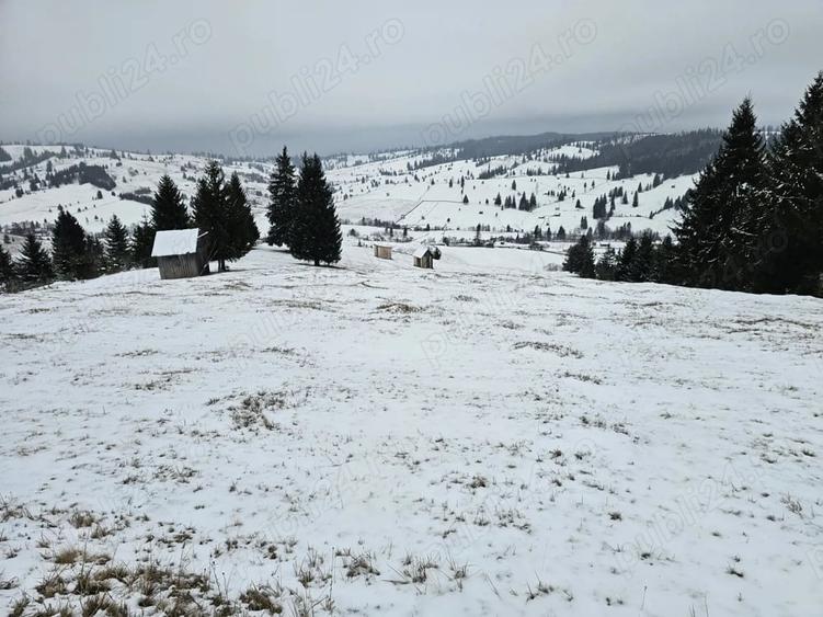 Teren de 25731 mp, în Breaza