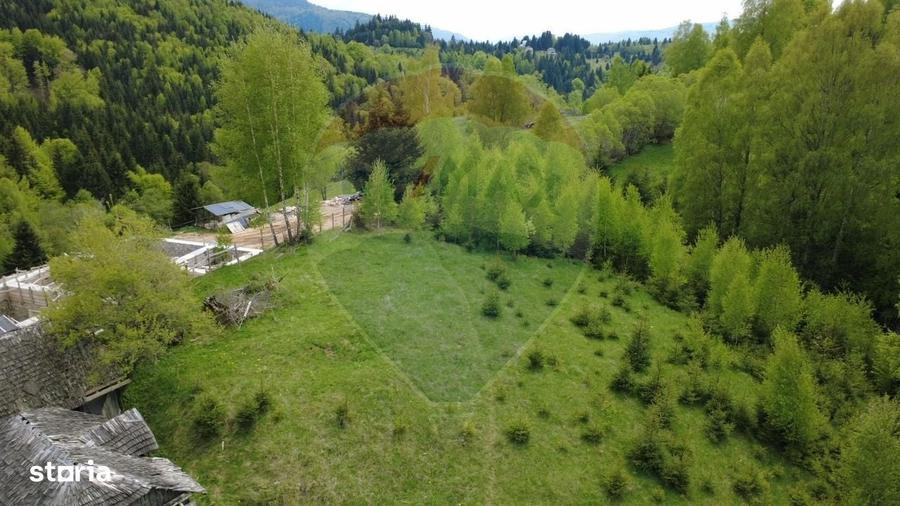 Teren 38,704mp Sirnea | 2.000 mp Intravilan | 36,704 Extravilan - 9