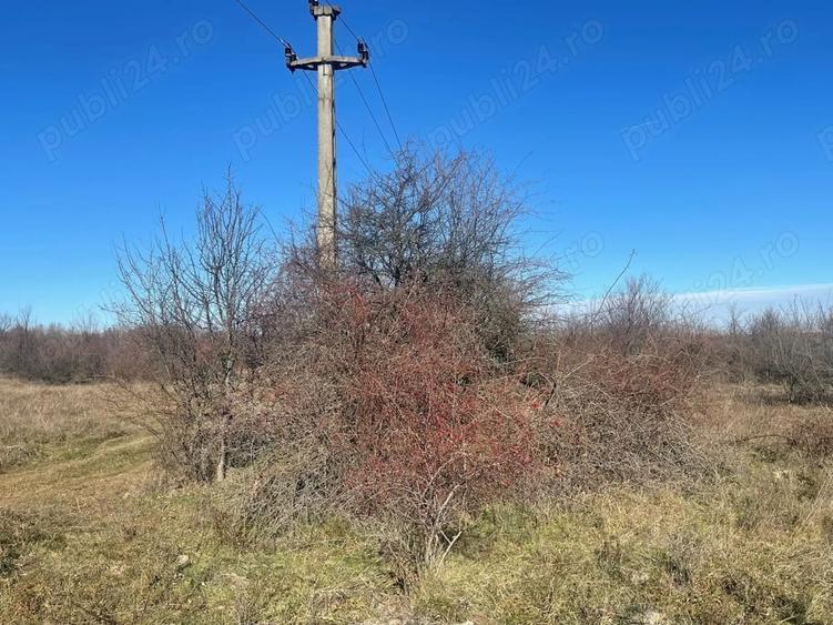 Teren de 5300 mp, în Merișani