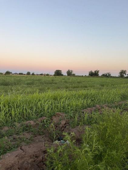 Teren agricol extravilan de 1000 mp, în Exterior Est