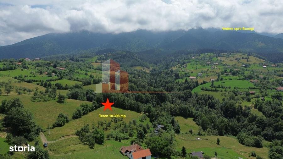 Spațiu comercial, în Bran