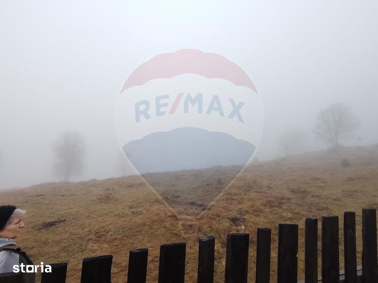 Teren de 26238 mp, în Dorna-Arini