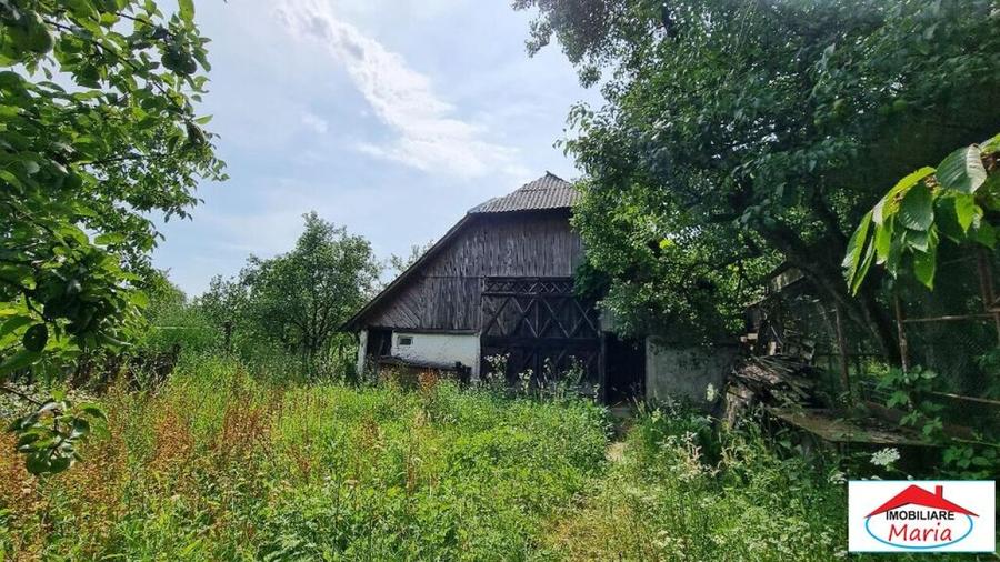 Casă individuală cu 2 camere cu Teren 8052 Mp în Viile Satu Mare