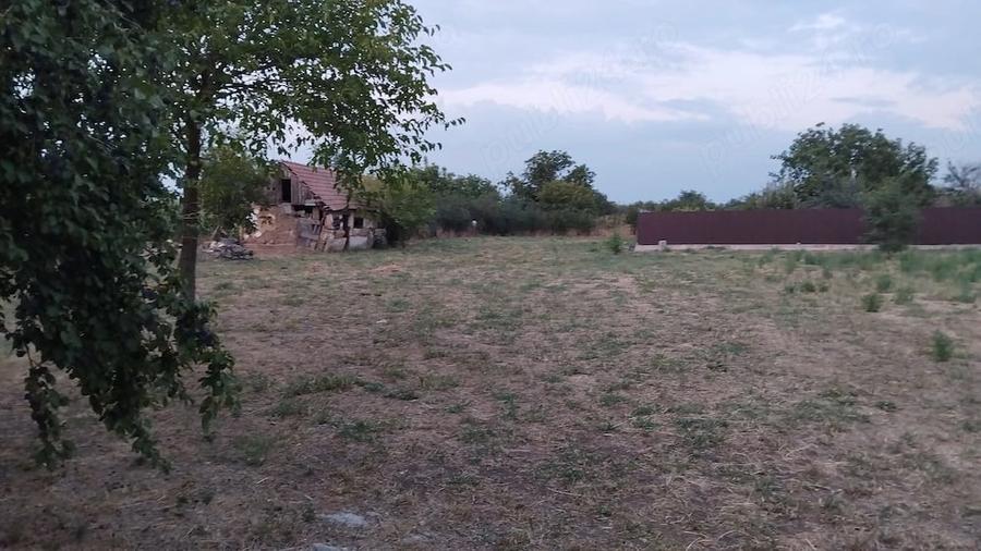 Casă cu Teren 2900 Mp în Izvoru (Gogoșari)