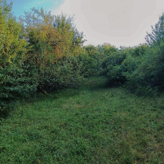 Teren de 2300 mp, în Cuzăplac