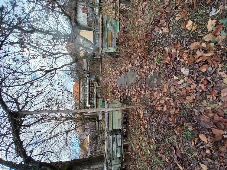 Casă cu 2 camere cu Teren 3000 Mp în Drăghici