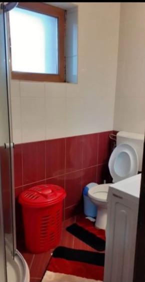Garsonieră decomandată în Casa de Cultură