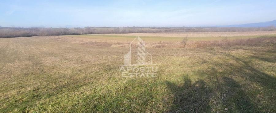 Teren agricol extravilan de 15224 mp, în Bârsa