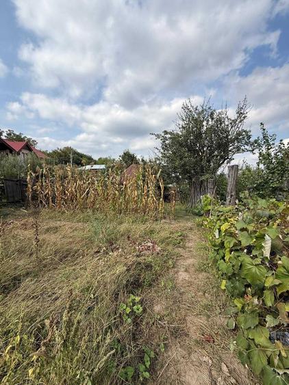 Casă cu 3 camere în Gârleni