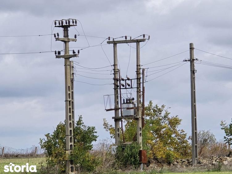 Comuna Amzacea- sat G.Scari?oreanu -Ferma zootehnica , teren 5,1ha - 11