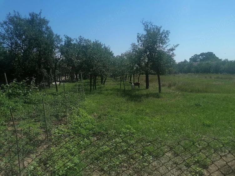 Teren de 1091 mp, în Ianova