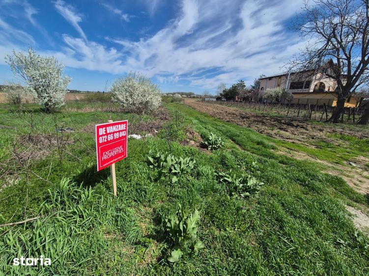 2 loturi de teren INTRAVILAN Bolintin-Deal 7800 mp si 2500 mp Pret neg - 3