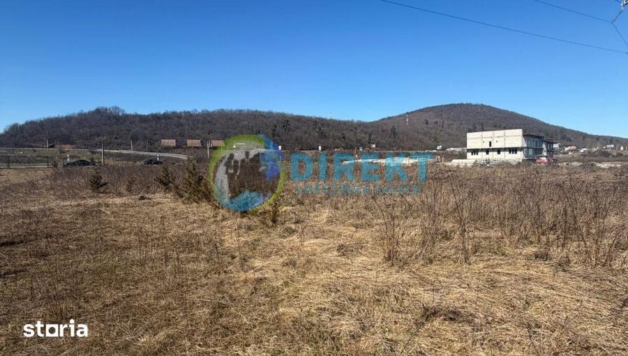 Teren de 9236 mp, în Șieu