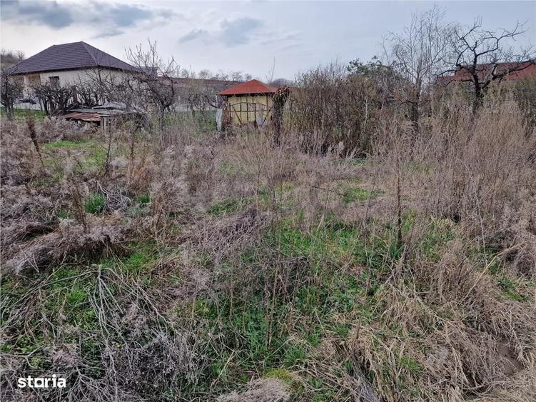 Spațiu comercial, în Paleu