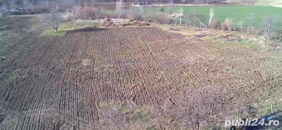 Teren de 18000 mp, în Central