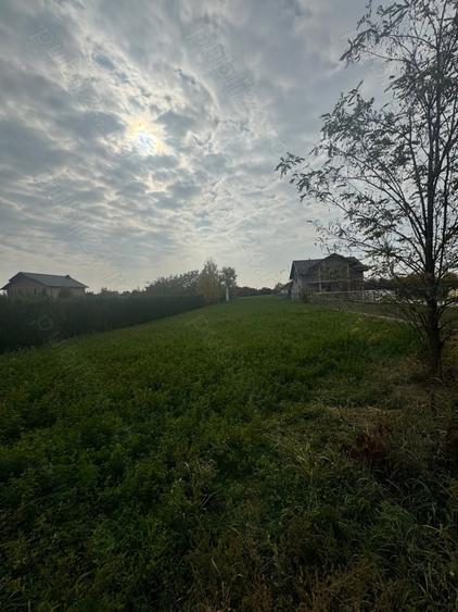 Teren de 2500 mp, în Mălăiești