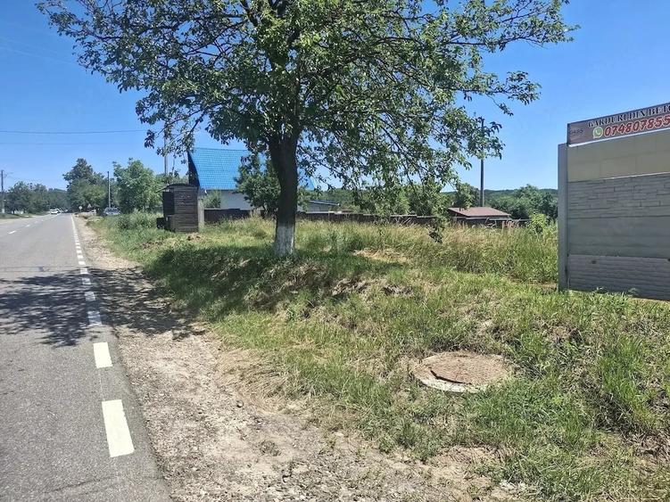 Teren de 1200 mp, în Ionășeni (Vârfu Câmpului)