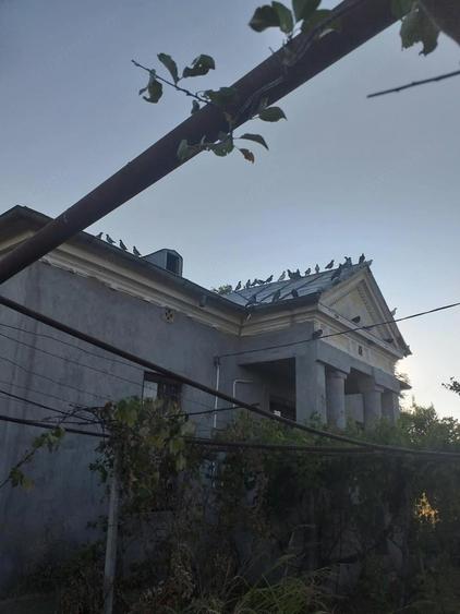 Vand Casa in Diosti, jud Olt cu teren 2500m2 - 7