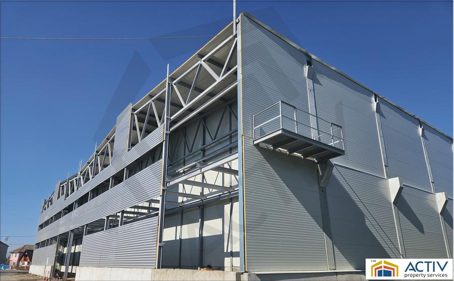 Spațiu industrial, de 4,500 mp, în Vidrasău