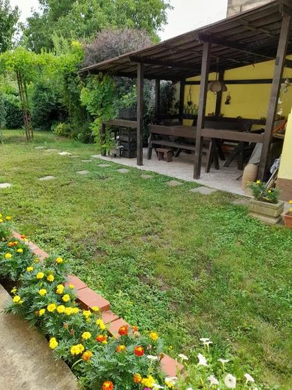 Casă cu 5 camere cu Teren 767 Mp în Buziașului