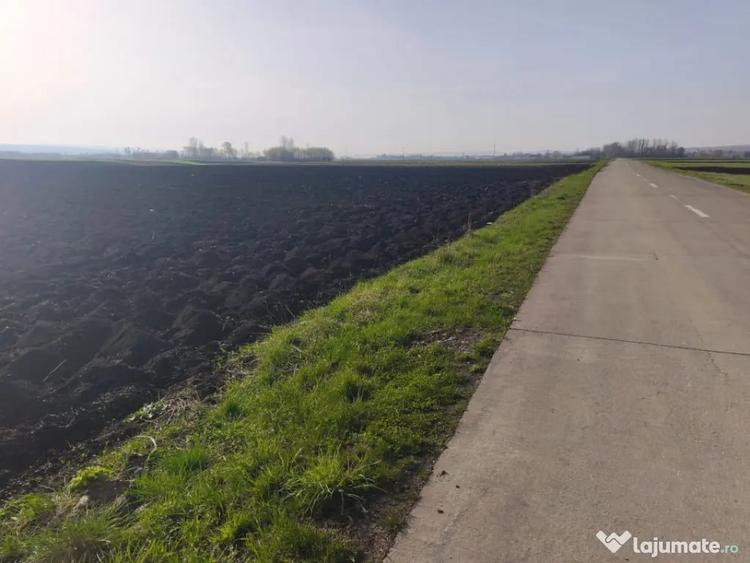 Teren în Satu Mare