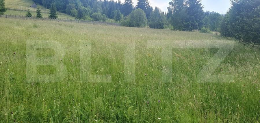 Teren Construcții intravilan de 3312 mp, în Vatra Dornei