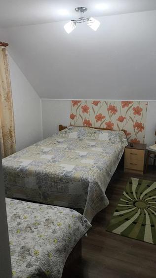 Casă cu 7 camere cu Teren 2118 Mp în Cenad