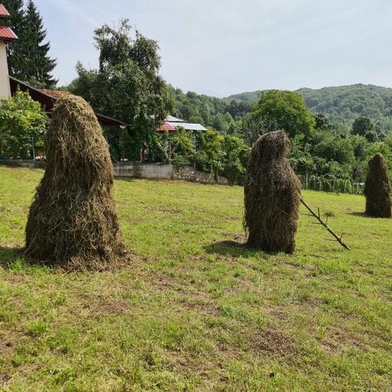 Teren Construcții intravilan de 3200 mp, în Adunați