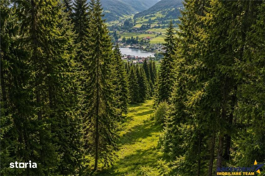Teren de 7800 mp, în Lunca
