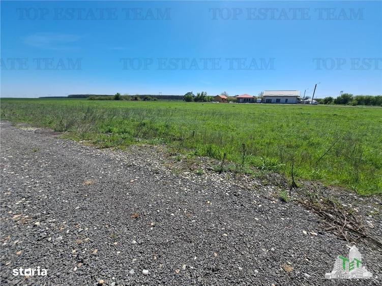 Spațiu comercial, în Vadu Anei