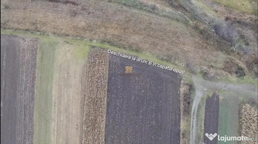 Teren de 14066 mp, în Mihoveni