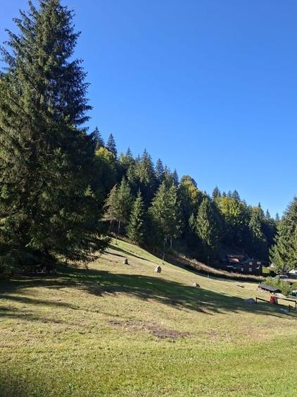 Teren intravilan de 2150 mp, în Lunca Bradului