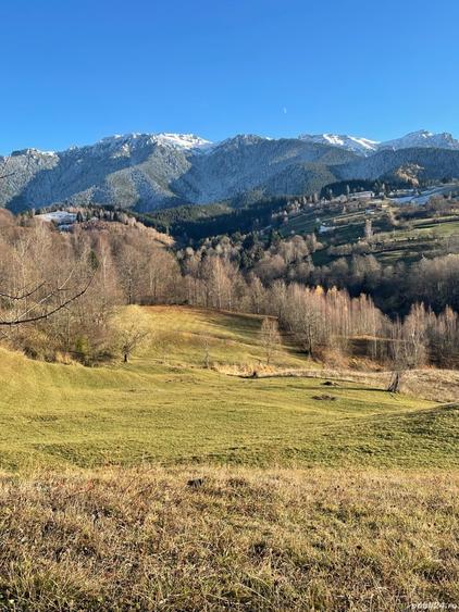 Teren de 10000 mp, în Bran