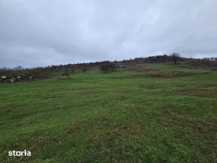 Teren de 100000 mp, în Albota